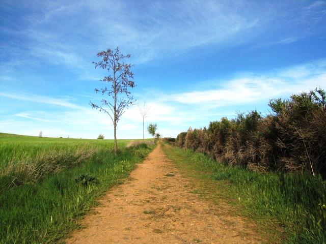 der Weg ist das Ziel