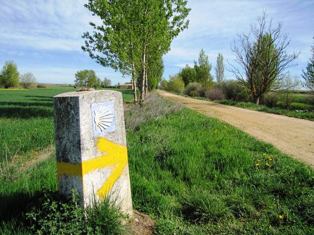 die gelben Pfeilen führen uns sicher zum Ziel, nach Santiago