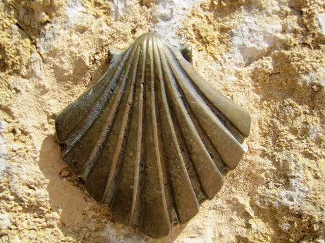 im Boden eingelassene Muscheln führen einem gut durch die Stadt