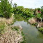 der Rio Cea