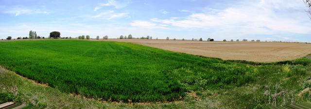 Breitbildfoto mit Blick über die Meseta