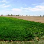 Breitbildfoto mit Blick über die Meseta