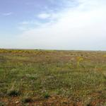 allmählich lassen wir die Meseta hinter uns