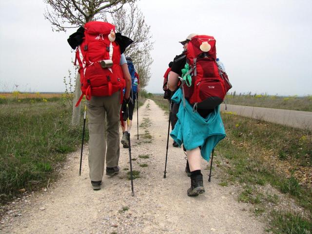 beim laufen achten wir sehr genau auf die Betonpfosten, links und rechts vom Camino