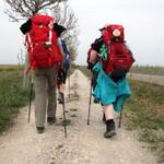 beim laufen achten wir sehr genau auf die Betonpfosten, links und rechts vom Camino