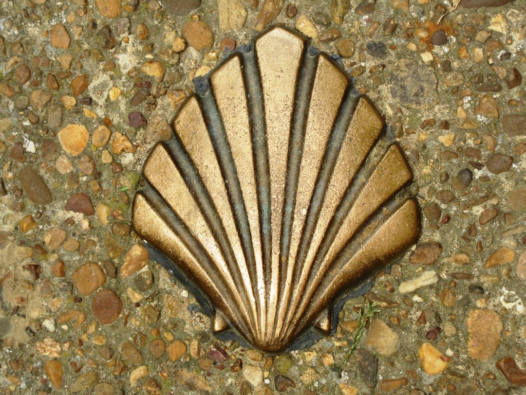 im Boden eingelegte Muscheln zeigen einem in Mansilla de las Mulas wo der Jakobsweg hindurchführt