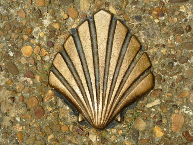 im Boden eingelegte Muscheln zeigen einem in Mansilla de las Mulas wo der Jakobsweg hindurchführt