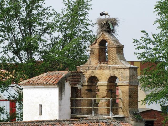 auch bei dieser Kirche sind Storchennester zu bewundern