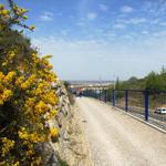 neben der Autobahn führt uns der Weg direkt nach León