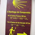 noch 309 km bis Santiago