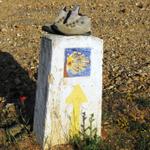 diese Wanderschuhe haben ihren Dienst geleistet