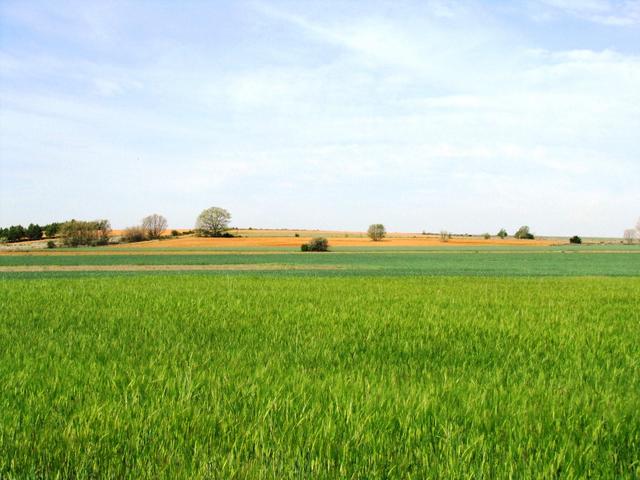 die Natur zeigte sich von der schönsten Seite