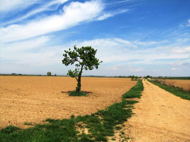 der Camino francés ist weiterhin wunderschön. Die Variante lohnt sich 100%