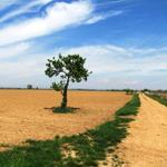 der Camino francés ist weiterhin wunderschön. Die Variante lohnt sich 100%