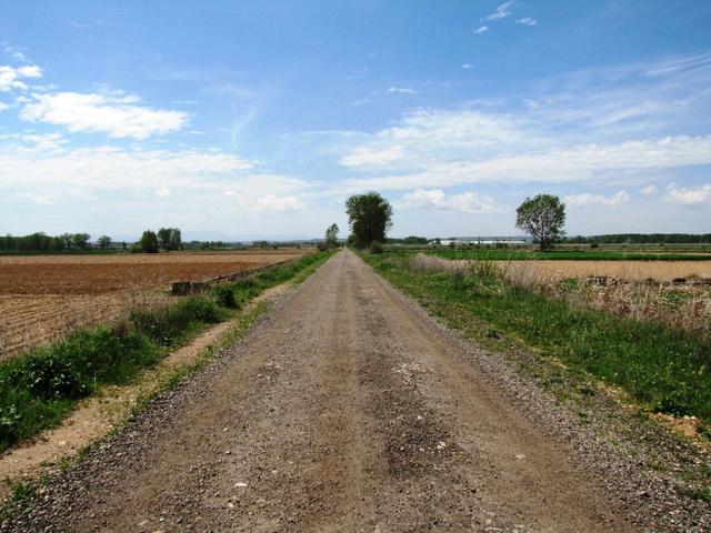 auf dem Weg zu unserem Etappenziel Hospital de Órbigo