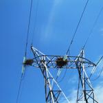 wenn das nur gut geht. Storchennester auf einer Hochspannungsleitung