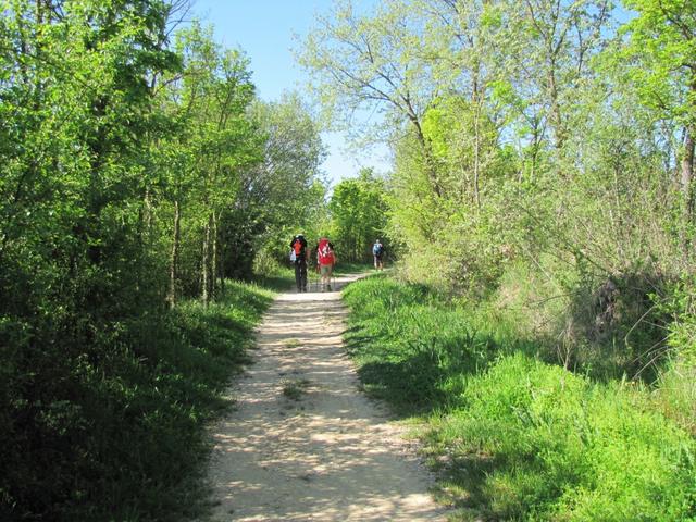 kurz nach Villares de Órbigo tauchten wir in die grüne Landschaft der Montes de León ein