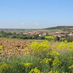 die Landschaft hat nun ein komplett anderes Gesicht. Sie ist hügelig und grün. Mit Bäumen und Sträucher