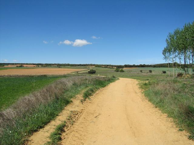 was für ein herrlicher Tag. Die Sonne scheint und wir sind auf dem Weg nach Astorga