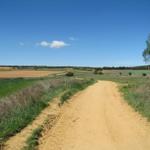 was für ein herrlicher Tag. Die Sonne scheint und wir sind auf dem Weg nach Astorga