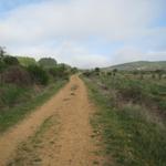 wir befinden uns im Herzen der Maragatería auf dem Weg nach Castrillo de los Polvazares