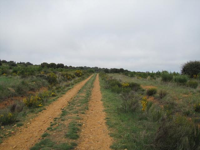 der Weg ist das Ziel