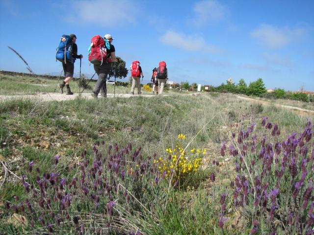 wir sind auf dem Weg nach Santa Catalina de Somoza