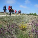 wir sind auf dem Weg nach Santa Catalina de Somoza