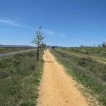 der Weg führt nun moderat leicht aufwärts. Die Montes de León rücken näher