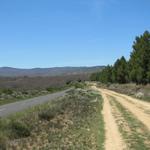 am Horizont die Montes de León mit dem Monte Irago