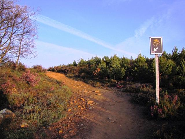 der Weg ist immer gut ersichtlich und markiert, verlaufen fast unmöglich