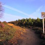 der Weg ist immer gut ersichtlich und markiert, verlaufen fast unmöglich