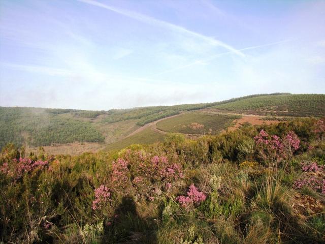 herrlich ist der Ausblick auf die sanft geschwungene Berglandschaft