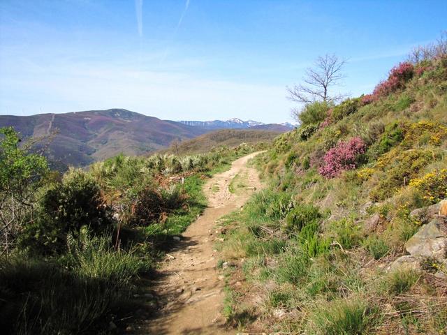 von Maniarín führt der Weg nun wieder leicht aufwärts