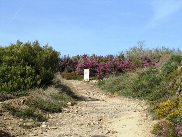 ab hier, führte der Weg nun endlich alles abwärts. Bis Ponferrada sind es 1000 Höhenmeter!