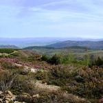 sehr schönes Panoramabild mit Blick in die Ebene des Río Silo und das Gebiet El Bierzo