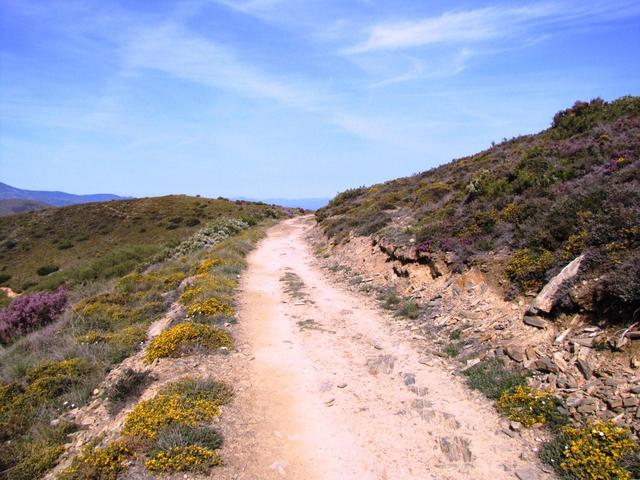 wir haben das Gebiet der Maragatería verlassen und sind nun ins Gebiet El Bierzo gewechselt