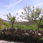 das Klima vom Gebiet El Bierzo ist sehr mild, fast mediterran. Heute ist es aber eher Afrikanisch. Über 30 Grad