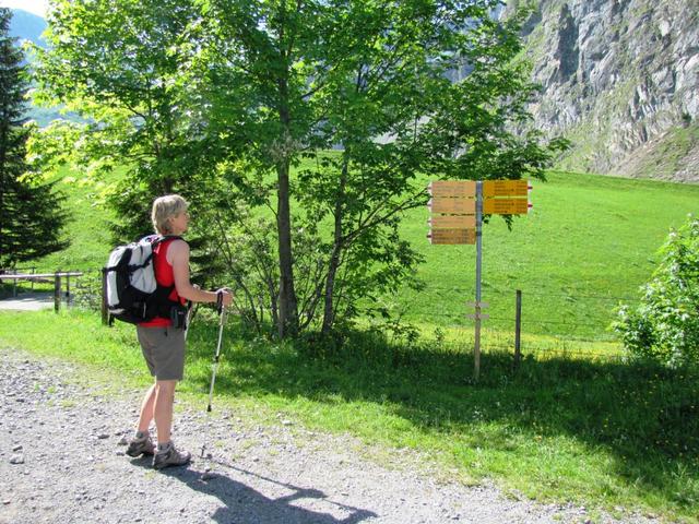 Mäusi schaut auf dem Wegweiser die vielen Wandermöglichkeiten die das Gebiet bietet