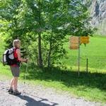 Mäusi schaut auf dem Wegweiser die vielen Wandermöglichkeiten die das Gebiet bietet