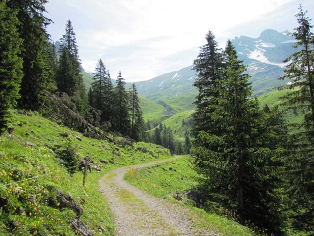 über eine Alpstrasse geht es nach Urnerstafel