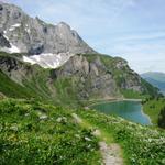 rechts unter uns der Bannalpsee. Geradeaus die Mulde am Fusse der Walenstöcke. In dieser Mulde führt der Wanderweg