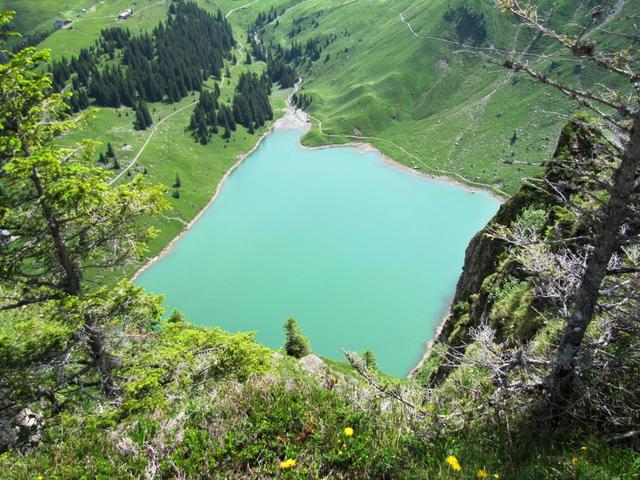 bei Oberfeld hat es eine kleine Aussichtskanzel. Von hier oben hat man ein atemberaubender Tiefblick auf den Bannalpsee