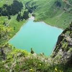 bei Oberfeld hat es eine kleine Aussichtskanzel. Von hier oben hat man ein atemberaubender Tiefblick auf den Bannalpsee