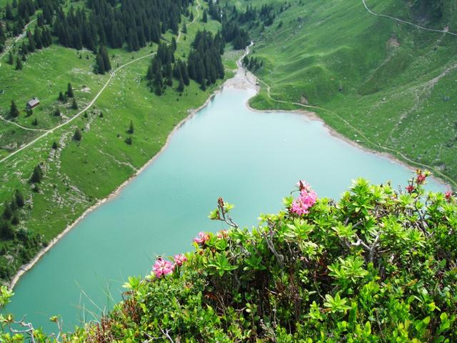 noch einmal ein schöner Tiefblick auf den Bannalpsee