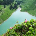 noch einmal ein schöner Tiefblick auf den Bannalpsee