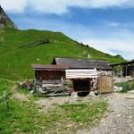 Bergwirtschaft auf Alp Oberfeld