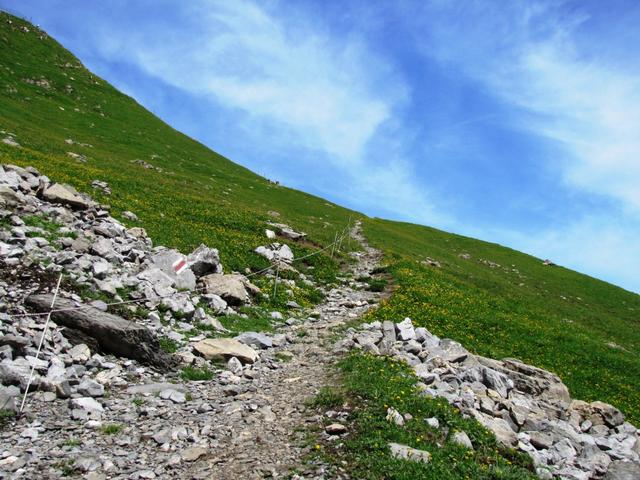 wir haben Alp Oberfeld verlassen. Es geht leicht Bergaufwärts