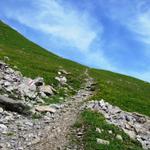 wir haben Alp Oberfeld verlassen. Es geht leicht Bergaufwärts