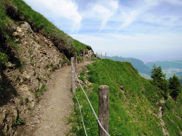 der Walenpfad ist wirklich ein schöner Höhenweg